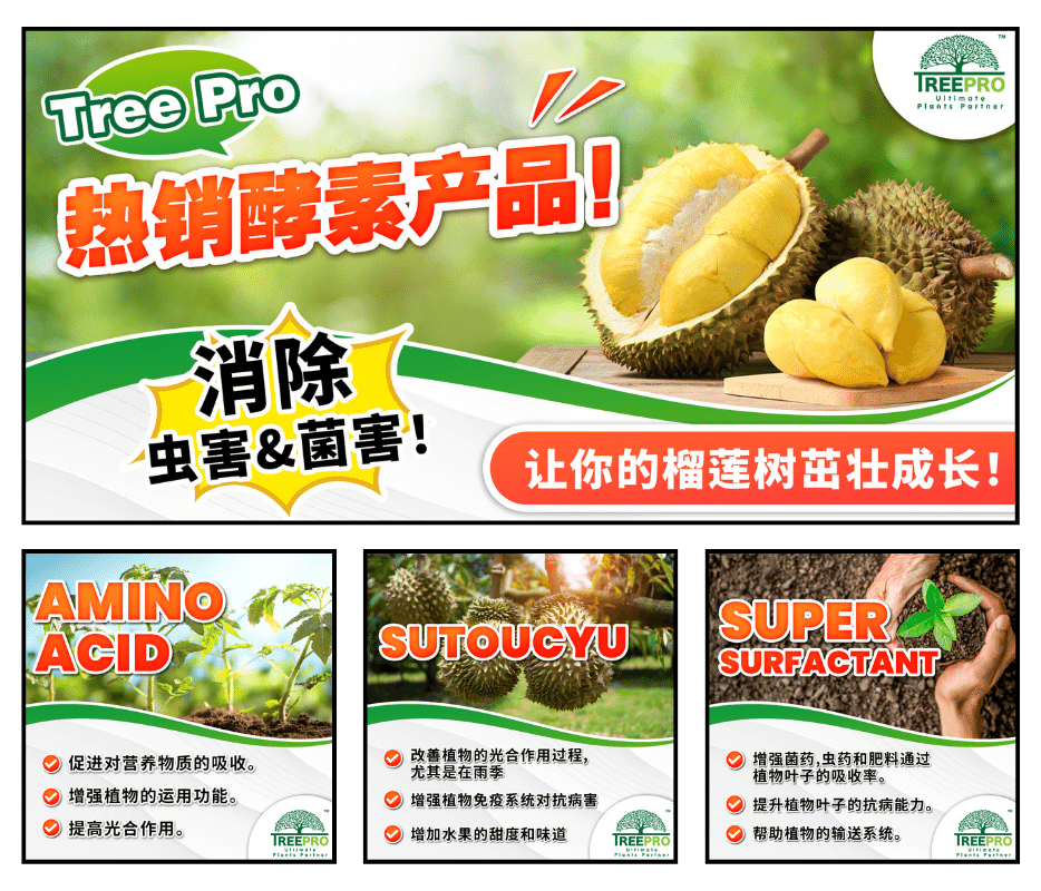 collabpro facebook portfolio 5